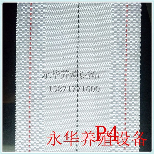 捡蛋机输送带系列