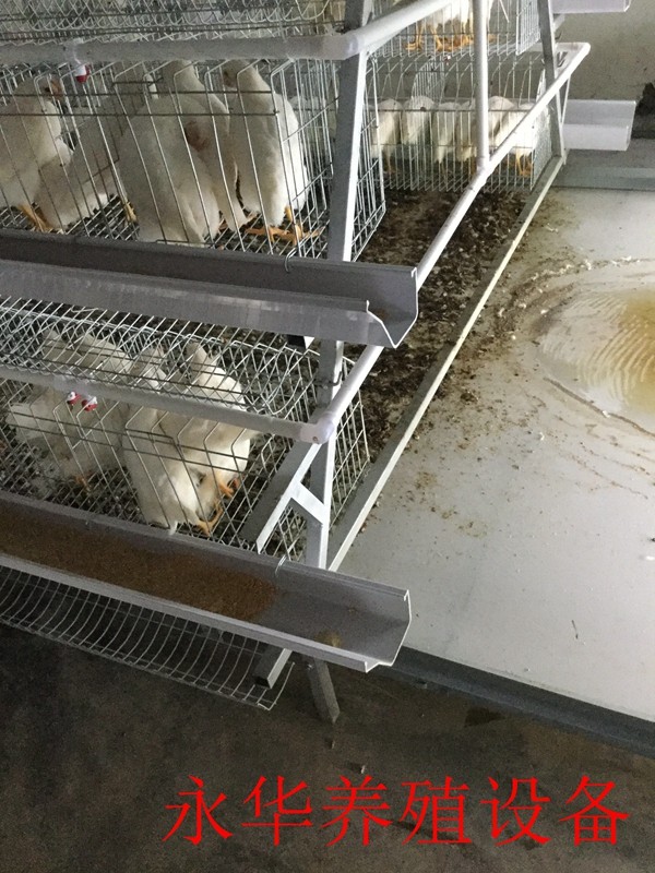 阶梯式履带清粪机