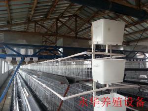 阶梯式喂料机