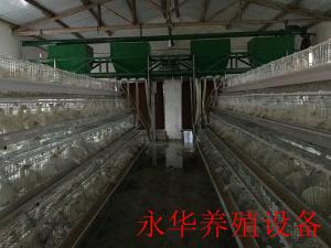 阶梯式喂料机