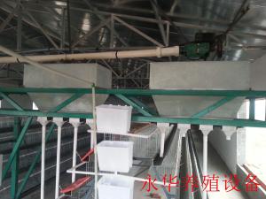 阶梯式喂料机