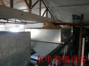 阶梯式喂料机